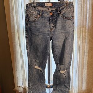 CAbi Distressed Light Blue Straight Leg Jeans